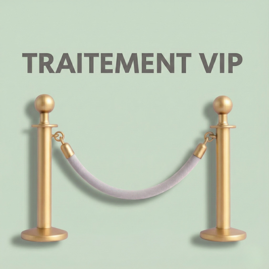 Traitement VIP de votre commande (24H)